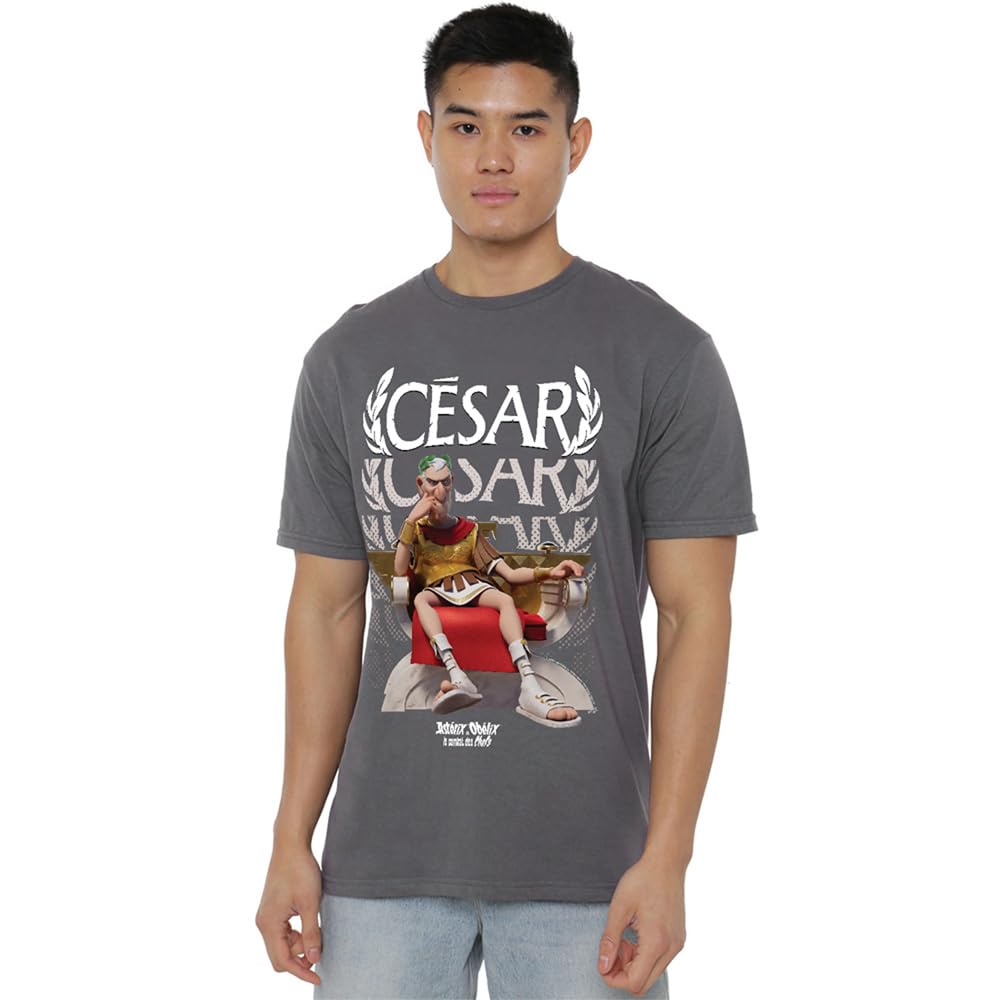 Asterix & Obelix - César of Rome Unisex T Shirt, Light Graphite, Small