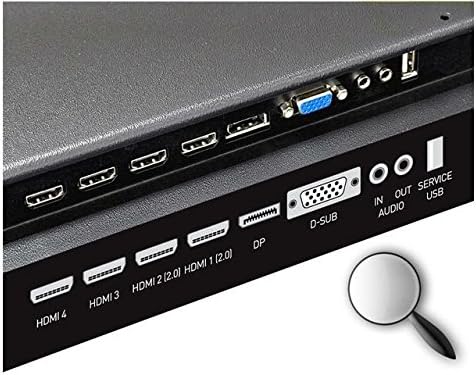 Close-up of the monitor's input ports including HDMI, DisplayPort, D-SUB, and audio jacks