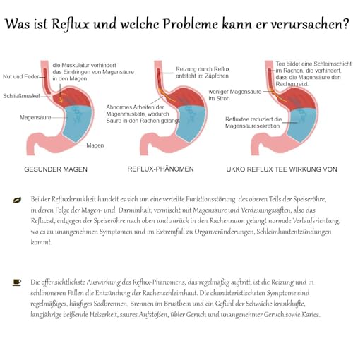 UKKO Reflux Teemischung, Natürliche Premium Kräutertee lose gegen Sodbrennen Säure Reflux, Magen Darmtee für verdauung, Magen Balance Basentee, Anti-Inflammatory, 80g, Glutenfrei, Vegan, Made In EU