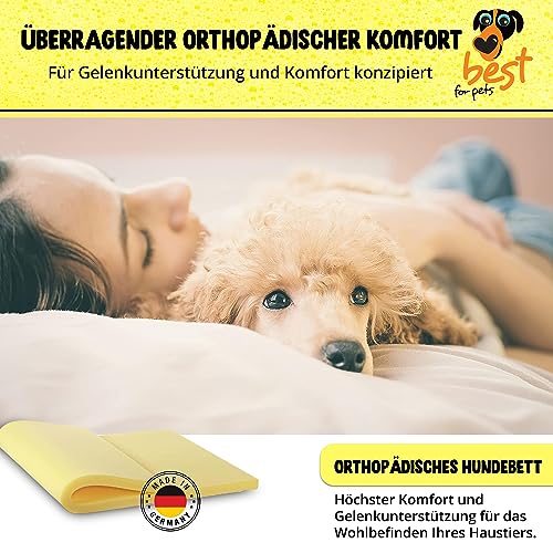 Best for Pets Orthopädisches Hundebett | Hundebett Waschbar | Viskoelastisches | Orthopädisches Hundekissen | Memory Foam Matratze | Hundematte Orthopädisch | Faltbares (45x55x4)