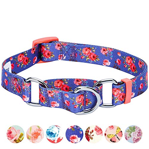Blueberry Pet Spring Scent Inspired Rose Print Martingale Safety Training Dog Collar, Irish Blue, Small, Heavy Duty Adjustable Collars For Dogs #TOP4