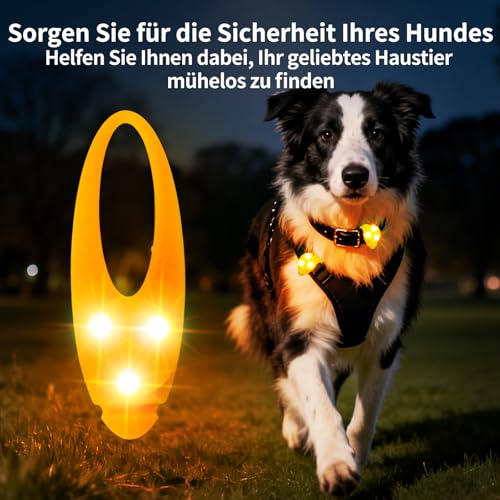 LaRoo Sicherheits LED Leuchtband für Hunde Katzen,LED Licht Blinklicht mit Klettverschluss, Einfach an Halsband Leine und Geschirr zu Befestigen