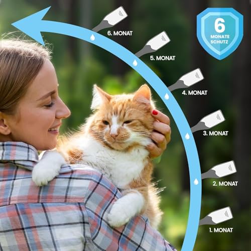 MC-Royal® Premium Spot On Zeckenschutz für Katzen [6 Monate effektiver Schutz vor Zecken] Zeckenmittel für Katzen -Zeckenschutz Katze - Spot On for Cats