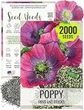 Seed Needs Hens & Chicks Poppy Seeds for Planting - Heirloom & Open Pollinated Annual Wildflowers - Beautiful Poppies to Attract Pollinators to a Butterfly Garden (1 Pack)