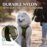 Freudentier Dog Leash 6 ft – Fully Padded for Comfort, Adjustable Length – Strong Nylon, Durable & Reflective Leash for Medium & Large Dogs (Forest Green, 6ft x 3/4in) - Image 3