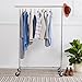 AmazonBasics - Perchero - Cromo