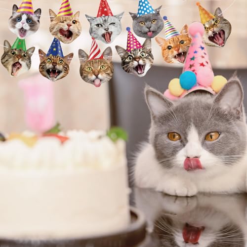 Image of Cat Face Theme Birthday Party Decorations Cat Happy Birthday Banner Garland Funny Banner Decor for Kids Girls Boys Cats Theme Party Supplies