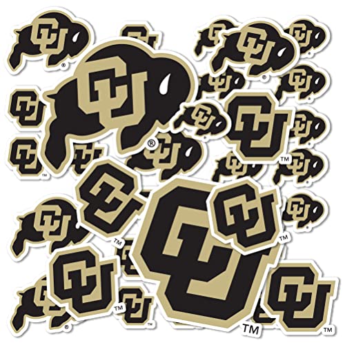 Desert Cactus University of Colorado Buffaloes Buffs Sticker Vinyl Decals Laptop Water Bottle Car Scrapbook Sheet T1 (Type 1-1)