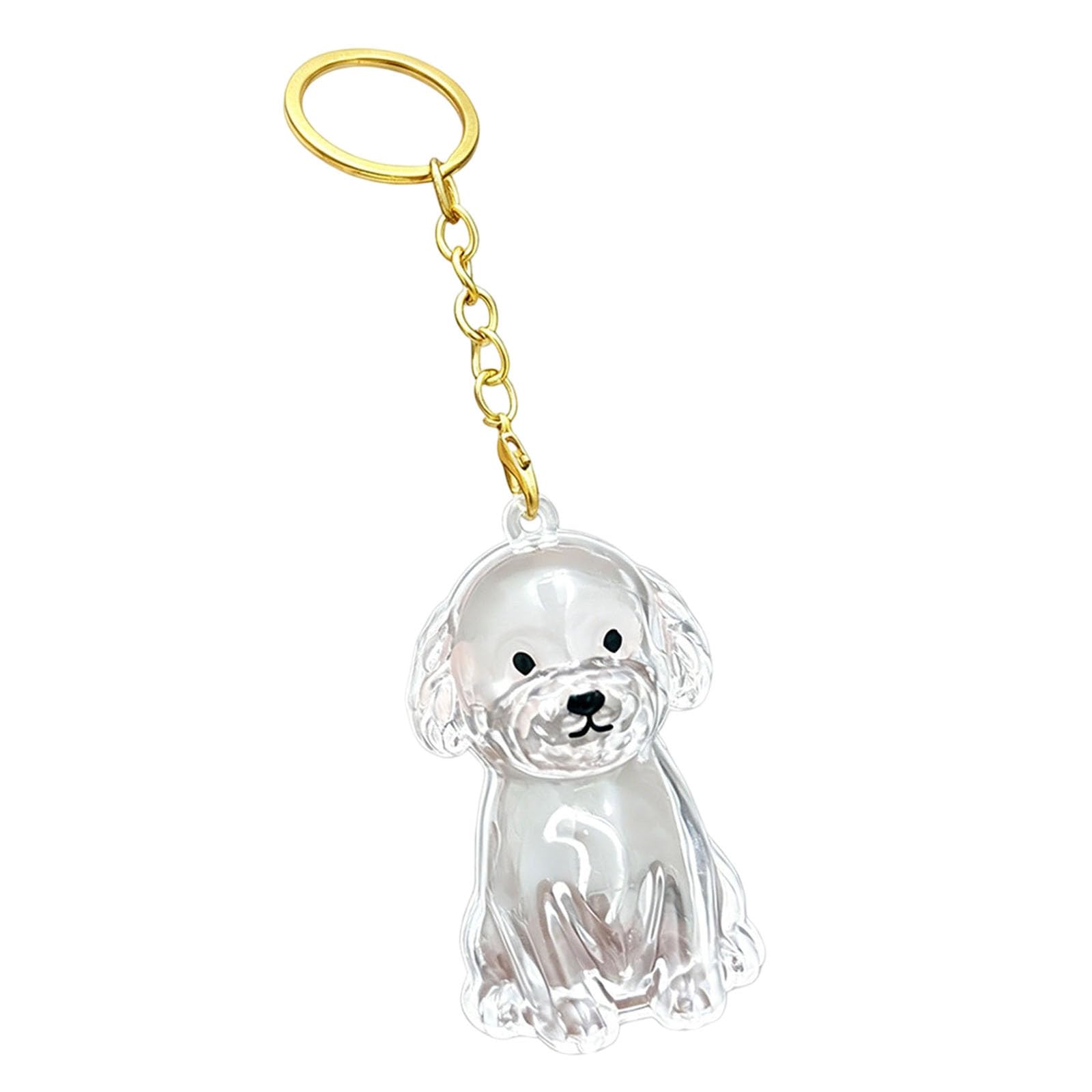 Memorial Dog Keyring, Dog Fur Keepsake, Transparent Cute Dog Hair Keepsakes, Abs Material Pet Hair Keyrings for Pet Owners, Dogs Lovers to Preserve Cherished Memories (H)