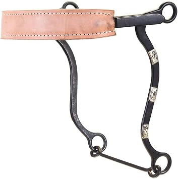 Flat Leather Noseband Hackamore Bit