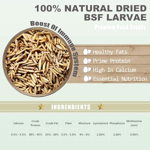 Amzey 11 LBS Dried Black Soldier Fly Larva - 100% Natural BSF Larvae - 85X More Calcium Than Mealworms - High Calcium Treats for Chickens, Birds, Reptiles, Hedgehog, Geckos, Turtles