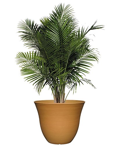 Classic Home And Garden Honeysuckle Resin Flower Pot Planter, Bamboo Brown, 15" #TOP2