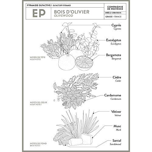 Compagnie de Provence Liquid Marsiglia Soap 500 ml...