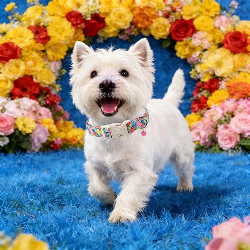 Collier réglable grand chien doux anti irritation Maca Bates - 3