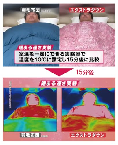 はぴねすくらぶ エクストラダウン 掛け布団 の商品画像 2