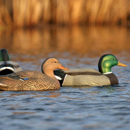 Avery Hunting Gear Es Standard Mallards (Dozen)