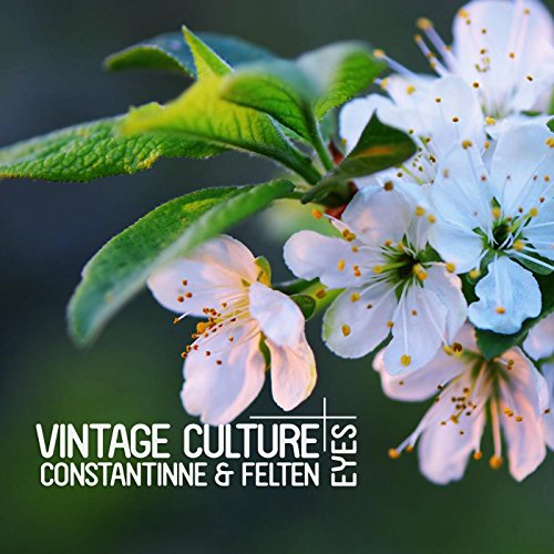 Vintage Culture, Constantinne & Felten