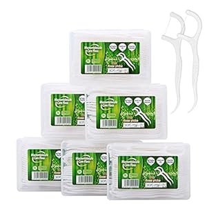 300 stuks tandzijde sticks wegwerp tandzijde Dental Floss tandzijde sticks met tandenstoker tandverzorging interdentale…