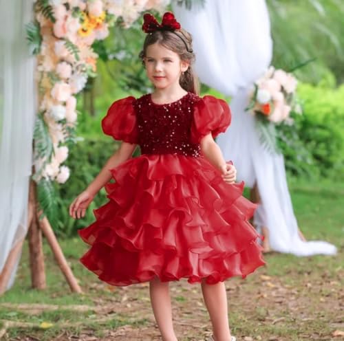 Elegant Little Girls Party Dress Age 1-4 Elegantly Customized Birthday Dress with Puffy Sleeves, Skirt, Sequins4