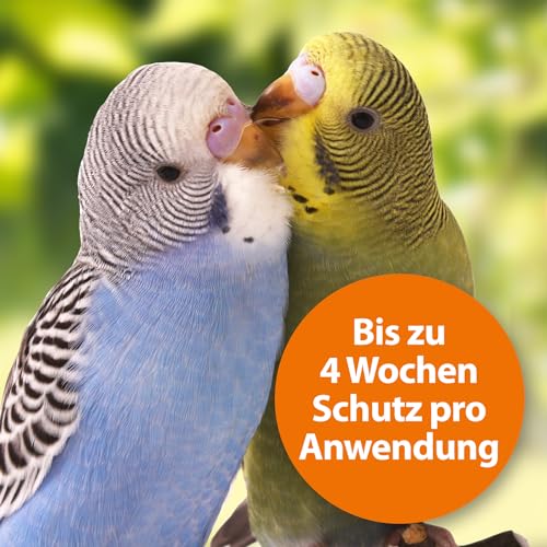 ARDAP Spot On - Zecken & Milbenschutz für Ziervögel & Brieftauben - Natürlicher Wirkstoff - Bis zu 12 Wochen nachhaltiger Langzeitschutz (PT19)