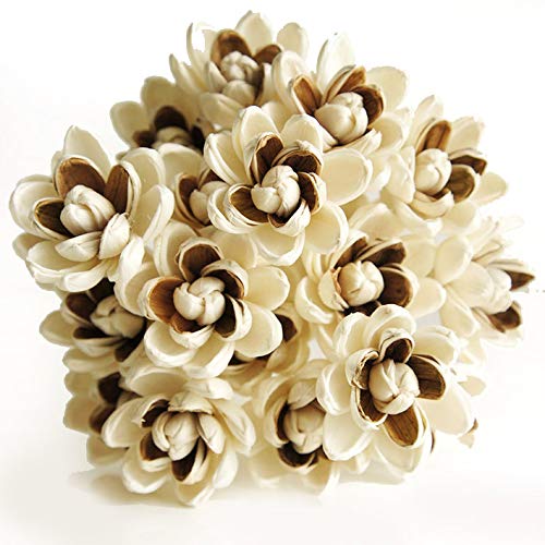 50 Magnolia 2 Tone Sola Flower Reed Diffuser for Aroma Home Fragrance by Plawanature