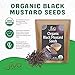Jiva Organic Black Mustard Seeds Whole 2.75 Pound Bulk Bag - Non-GMO Keto Friendly, Non-Irradiated