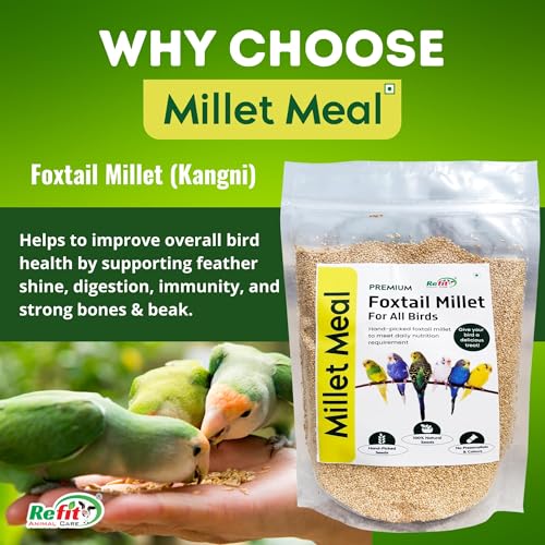 Image of REFIT ANIMAL CARE Foxtail Millet for Birds | Kangni Seeds | Bird Food 450 gm, Millet Meal