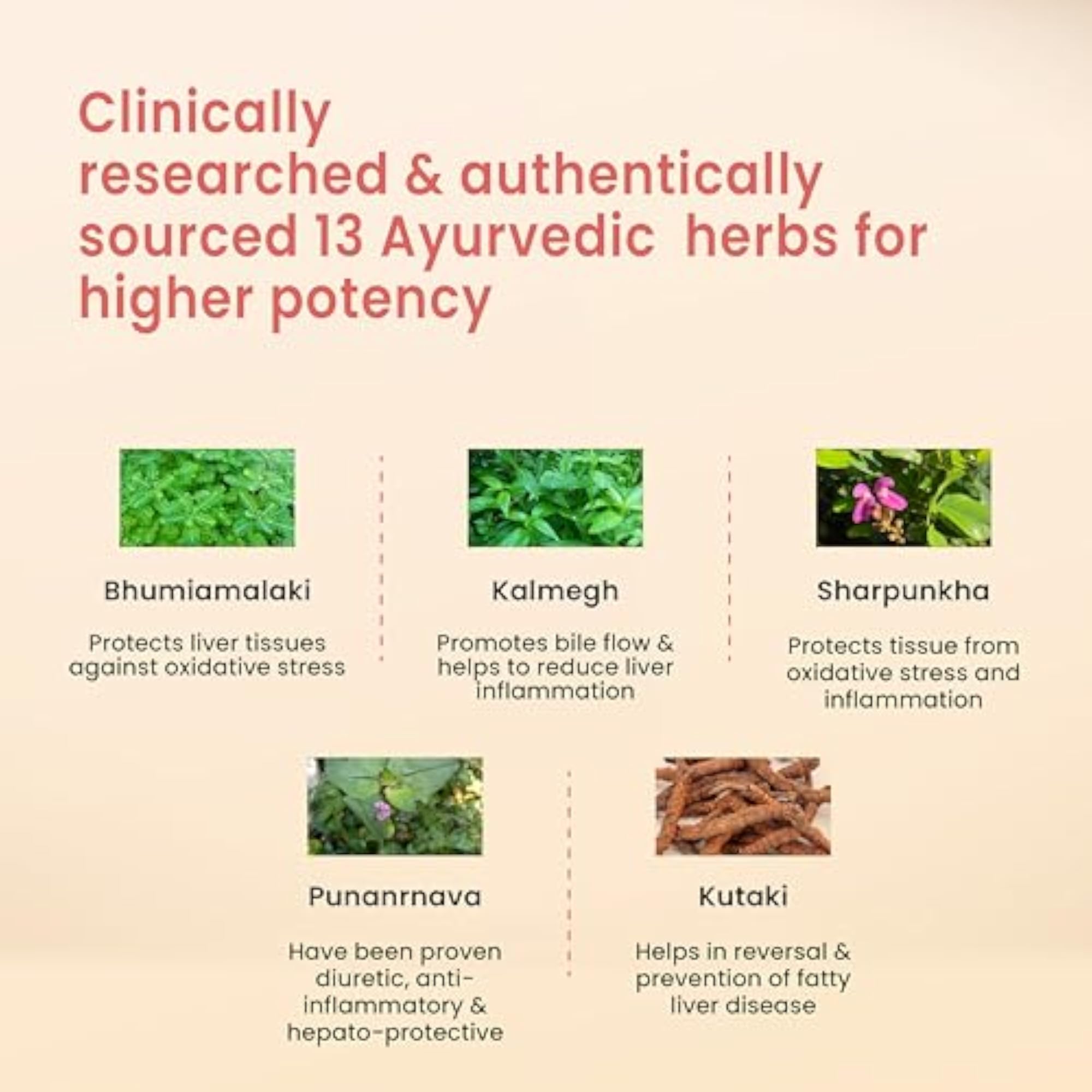 Vedistry Livercare Tablet, 60 Tab