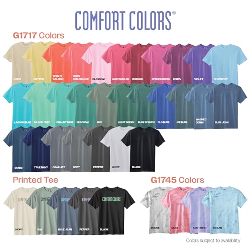comfort colors adult heavyweight short sleeve tee style g1717g1745 multipack