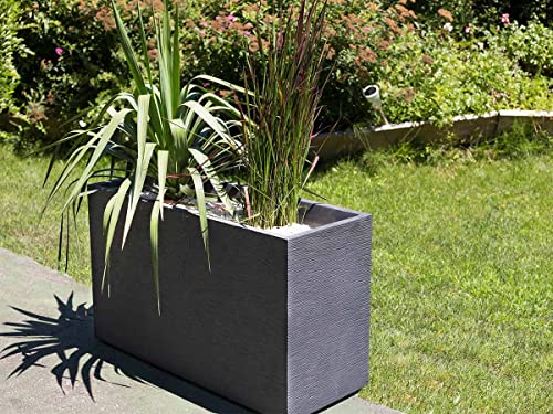 Muret Graphit EDA bac à plantes anti gel avec réserve d'eau - 3
