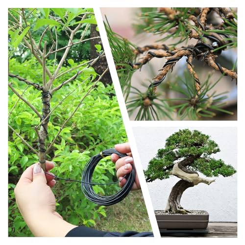 SUPAWAY Basteldraht für Bonsai Aluminium Bonsai Trainingsdraht Draht zum Befestigen von Pflanzen Eloxierter Aluminium-Bonsai-Draht 5 Rollen mit 5 Größen (1/1,5/2 / 2,5/3 mm), Insgesamt 164 Füße