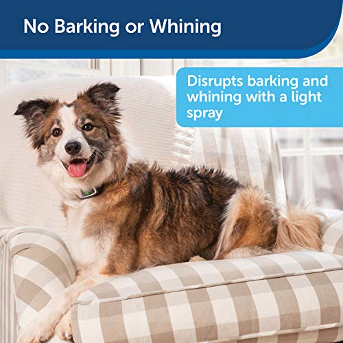 3 Best AntiBark Devices 2023 [Top Picks & Buyer's Guide]