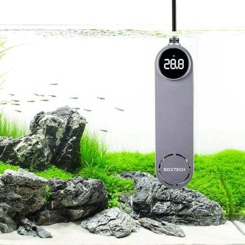 Mini chauffage d'aquarium boxtech pour stabiliser l'eau du poisson Betta sans l'immerger - 2