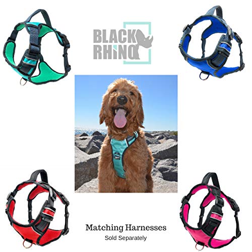 Black Rhino - Premium Hands Free Dog Leash For Running Walking Jogging & Hiking - Adjustable Length Dual Handle Bungee Leash Medium – Large Dogs Neoprene Padded Handles - Running Pouch Included Aqua #TOP6