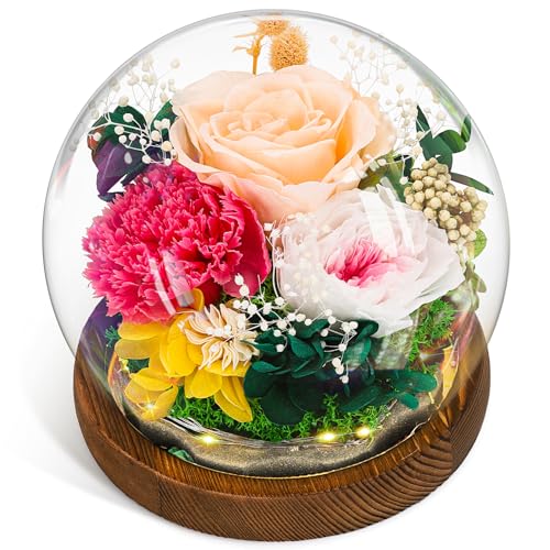 CSYY Rosa Eterna, Regalo para el día de la Madre Luces LED Flor Preservada Bola de Cristal Vidrio Claveles Preservados Infinito Flor Eternos Mujeres Mamá Novia Esposa Día de Cumpleaños Rosa
