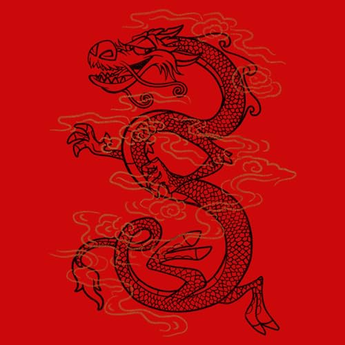 Disney Boy's Mulan Mushu Large Tattoo T-Shirt2