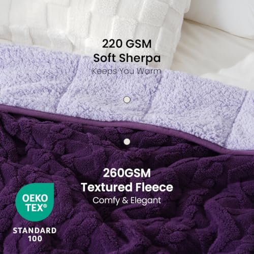 Image of Drewin Queen Size 15lbs Weighted Blanket for Adults, Soft Cozy Turtleback Sherpa Weighted Blankets for Sleeping and Calming, Thick Bed Blanket for Couch Bed, 48 x 72 inches, Dark and Light Purple