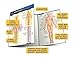 Anatomy - Directions, Planes, Movements & Regions: a QuickStudy Laminated Reference Guide