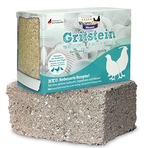 federgold® Gritstein 1kg – Mineralstein für Hühner, Wachteln...