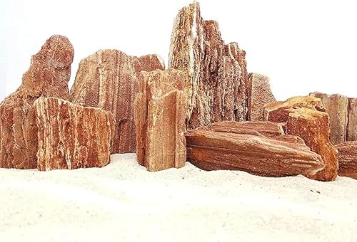 Image of Natural Redwood Petrified Stone for Aquarium Decor | Aquascaping Rock for Fish Tanks, Terrariums, and Bonsai | pH Neutral, Dense Hardscape Stone with Wood-Like Grain Patterns (1 Kg)