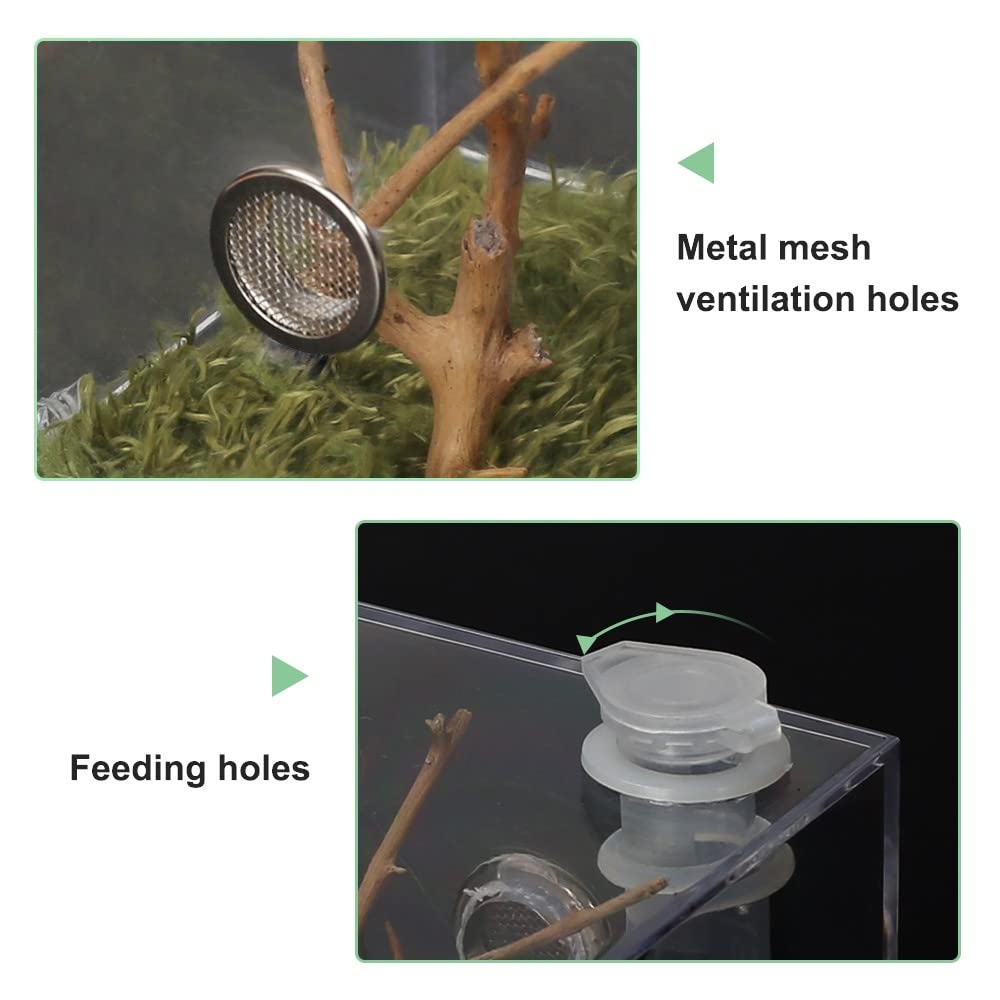 Acryl Voedingsdoos, Transparante Terrariumdoos voor Reptielen, Voergeval voor Spinnen, Gehoornde Kikker, Kevers, Huisdier Slangen en Andere Reptielen