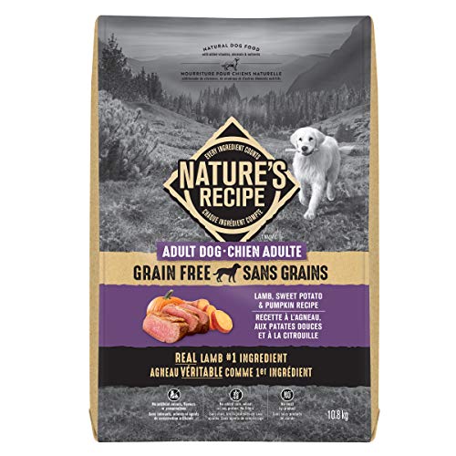 Nature's Recipe Adult Grain Free Natural Dry Dog Food Lamb, Sweet Potato & Pumpkin Recipe 10.8 kg (Pack of 1) image 4