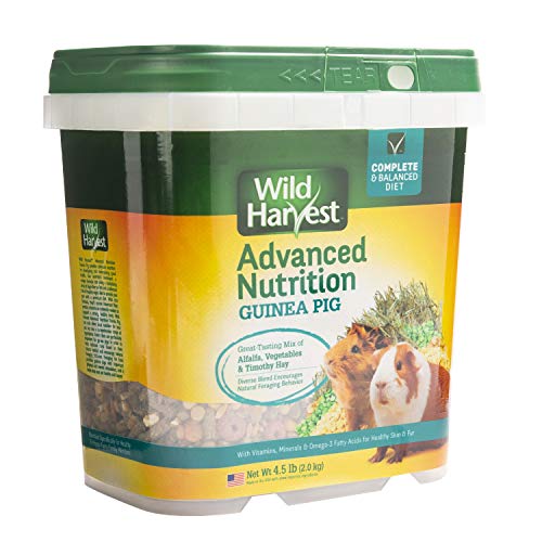 Wild Harvest Wh-83545 Wild Harvest Advanced Nutrition Diet For Guinea Pigs, 4.5-Pound #TOP6