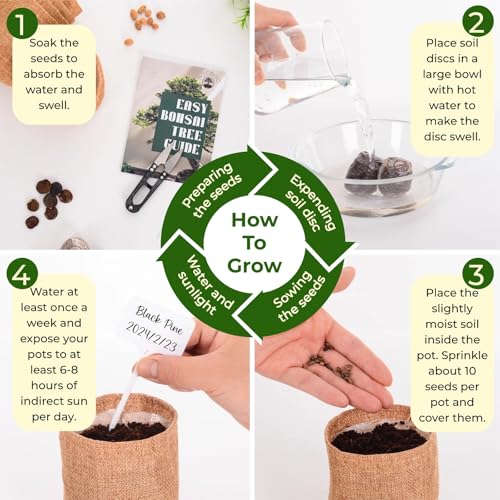 Premium Bonsai Tree kit - 10 Types Bonsai Tree Growing Set for Starter with Soil, Pots, Scissor, Plant Makers, Grow Greenery Indoor, Beginner Planting Kit Plant Gifts