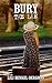 Bury the Lie: A Psychological Romance Novel (Contemporary Women's fiction)
