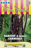 Sachet de graines de Haricot à rames Carminat   70g   70 g   Haricot rames mangetout   LES GRAINES BOCQUET