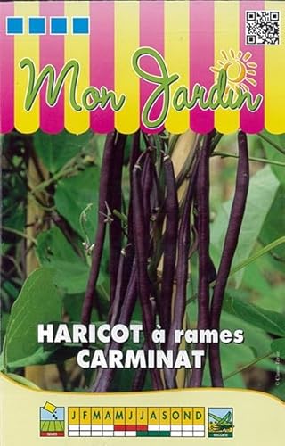 Sachet de graines de Haricot à rames Carminat - 70g - 70 g - Haricot rames mangetout - LES GRAINES BOCQUET