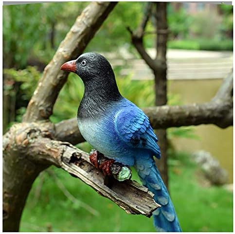 Outdoor Statue Garden Sculpture Garden Ornament Outdoor Parrot Resin Wall-Mounted Simulation Animal Sculpture Statue Ornament (Color : C) Gift
