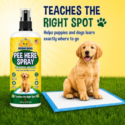 Image of Pee Here Dog Potty Training Spray - Teaches Your Puppy The Right Spot to Go - Attracts Dogs to Pee Pads, Grass, and Approved Potty Areas