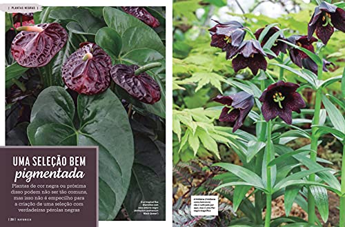 Revista Natureza 401